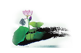 中國風(fēng)手繪荷塘圖案元素