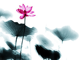 中國風(fēng)水彩荷花圖案