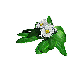 簡(jiǎn)約綠色小花圖案元素