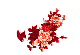 簡(jiǎn)約花朵圖案元素