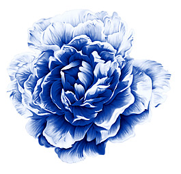 青花瓷花朵元素素材圖片