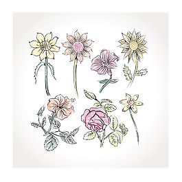 水彩繪玫瑰花插畫