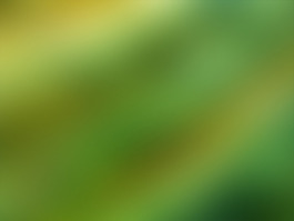 綠色美景網(wǎng)頁(yè)海報(bào)banner素材