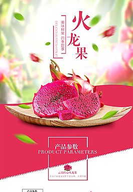 越南紅肉紅心火龍果詳情頁模板設(shè)計