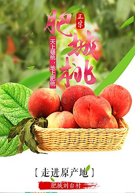 淘宝天猫黄桃详情模板