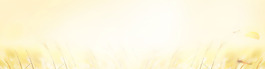 簡約粉色淘寶全屏banner背景