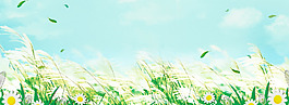 清新白色花朵淘寶全屏banner背景