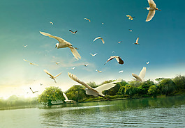 綠色大樹河水大雁淘寶全屏banner背景