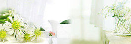 清新綠色植物淘寶全屏banner背景