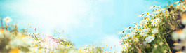 清新彩色花朵淘寶全屏banner背景