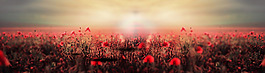 唯美红色花朵淘宝全屏banner背景