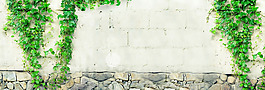 清新綠色植物磚墻淘寶全屏banner背景