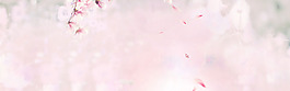 浪漫粉色花朵淘寶全屏banner背景
