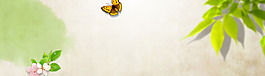 清新綠色大樹淘寶全屏banner背景