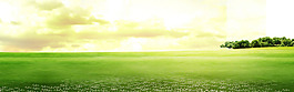 清新綠色草地淘寶全屏banner背景