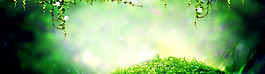 清新綠色大樹(shù)淘寶全屏banner背景