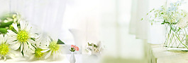 清新白色花朵淘寶全屏banner背景