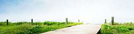 清新綠色草地淘寶全屏banner背景