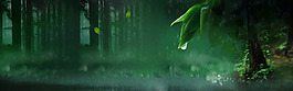清新绿色森林淘宝全屏banner背景