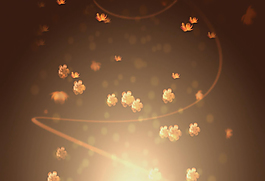 碎花飄落視頻素材