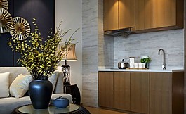 簡約風(fēng)室內(nèi)設(shè)計(jì)效果圖