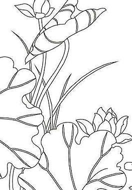 黑白荷花魚家裝裝飾畫