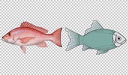 手绘漂亮的热带鱼免抠png透明图层素材