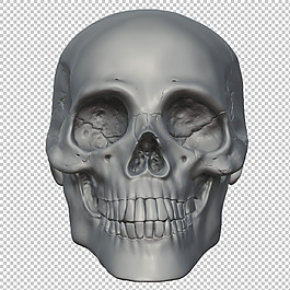 3d人頭骨免摳png透明圖層素材