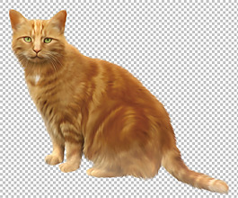 黄色小猫免抠png透明图层素材