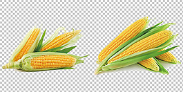 新鲜玉米苞米图片免抠png透明图层素材