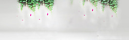 清新綠色植物淘寶全屏banner背景