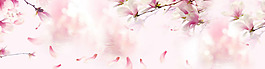夢幻粉色花朵淘寶全屏banner背景