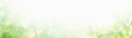 夢幻綠色淘寶全屏banner背景