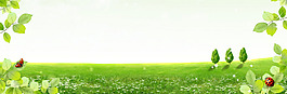 清新綠色樹葉淘寶全屏banner背景