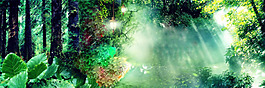 清新绿色森林淘宝全屏banner背景