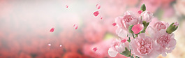 清新粉色花朵淘寶全屏banner背景