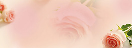 清新粉色花朵淘寶全屏banner背景