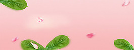 清新綠色植物淘寶全屏banner背景