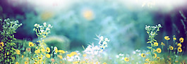 夢幻彩色花朵淘寶全屏banner背景
