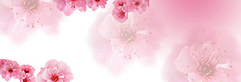 梦幻粉色花朵淘宝全屏banner背景