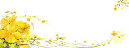 清新黃色花朵春季淘寶全屏banner背景