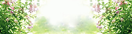 清新綠色植物淘寶全屏banner背景