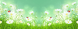 清新白色花朵淘寶全屏banner背景