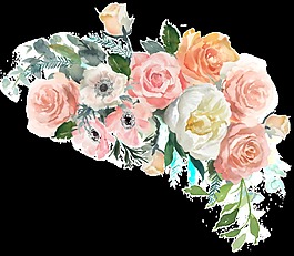 春季透明鲜花素材