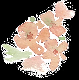 水彩涂鴉花卉透明裝飾素材