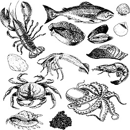 海洋手繪插圖