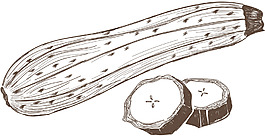 農作物矢量手繪蔬菜