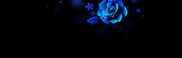 唯美蓝色花朵淘宝全屏banner背景