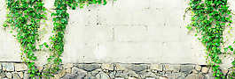 清新綠色植物淘寶全屏banner背景
