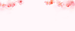 清新粉色花朵淘寶全屏banner背景